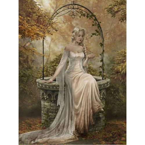 The Well Of My Desires - Puzzle 2000 Pièces