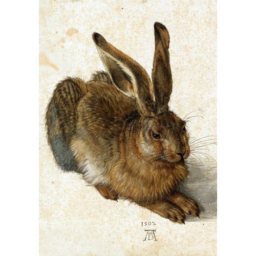 Albrecht Dürer - Le Lapin, 1502 - Puzzle 12 Pièces