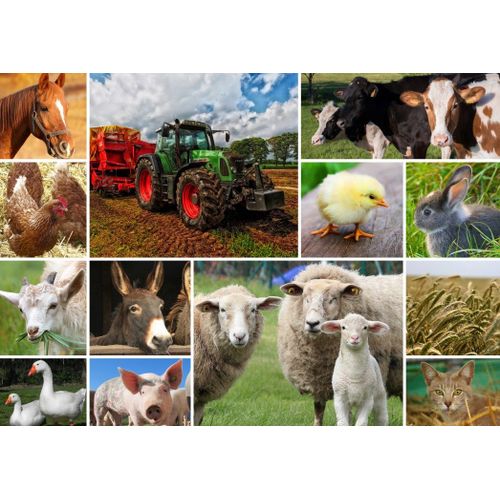 Collage - Animaux De La Ferme - Puzzle 1500 Pièces