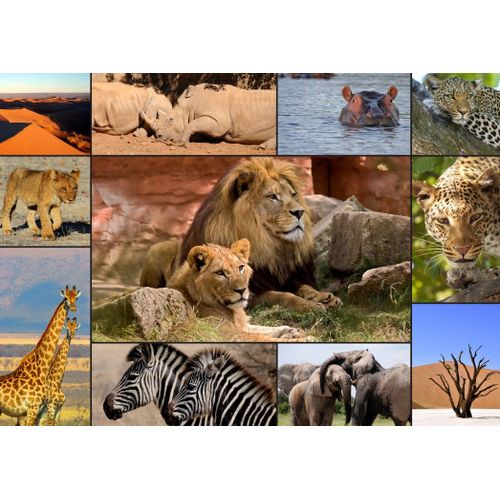 Collage - Wildlife - Puzzle 1500 Pièces