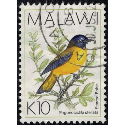 Malawi 1994 Oblitéré Used Oiseau Bird Pogonocichla Stellata Rougegorge Étoilé Su