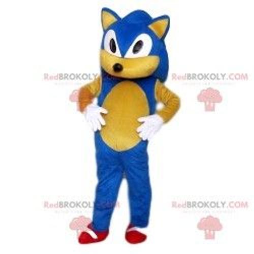 Costume de mascotte Sonic, Sonic le hérisson, Costume de mascotte de fête,  Costume de mascotte d'événement, Costume de fête d'anniversaire, Costume de  mascotte de luxe -  France