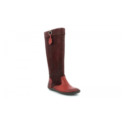 Bottes Kickers Hohigh