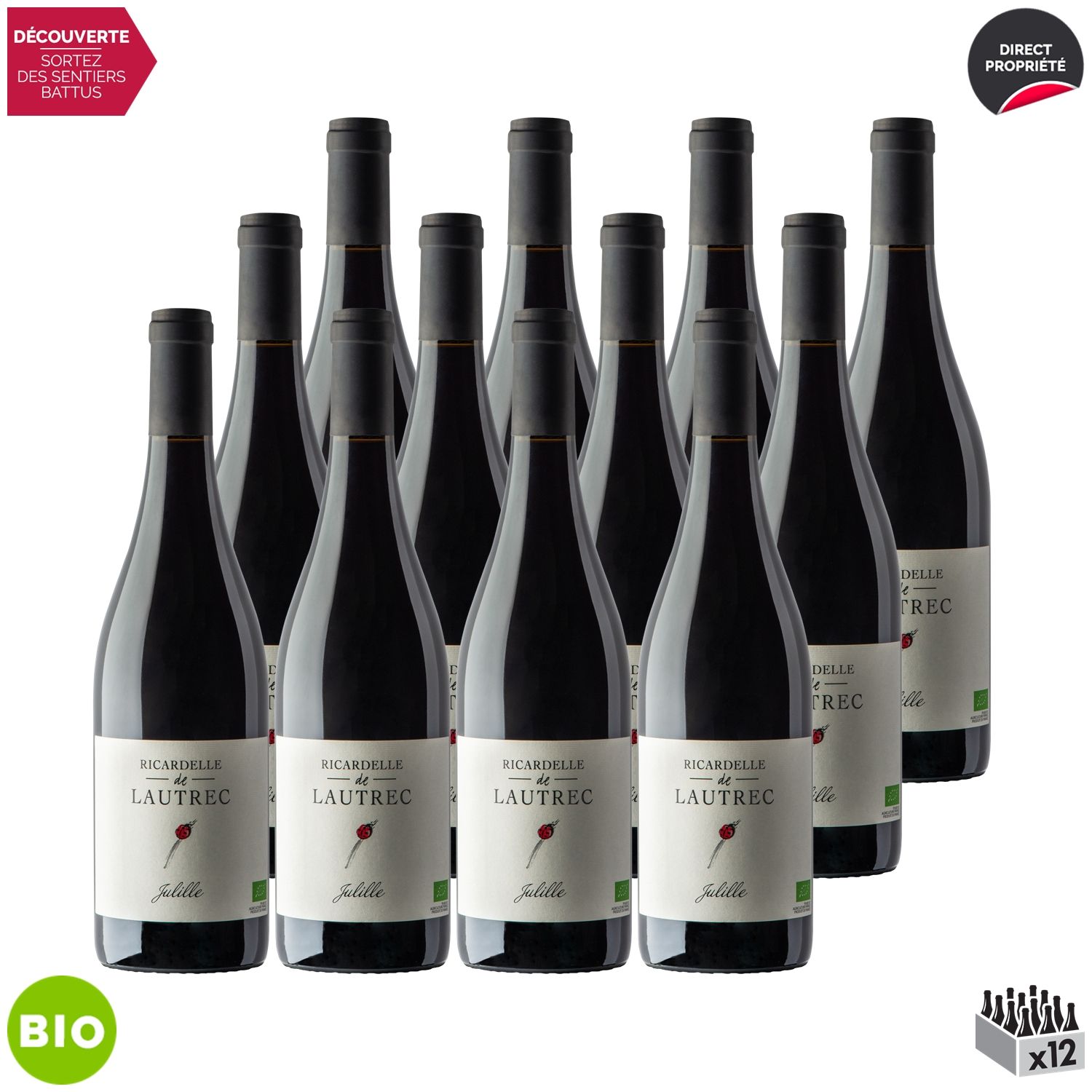 Domaine Ricardelle De Lautrec Pays D'oc Julille Rouge 2019 X12