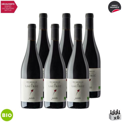 Domaine Ricardelle De Lautrec Pays D'oc Julille Rouge 2019 X6