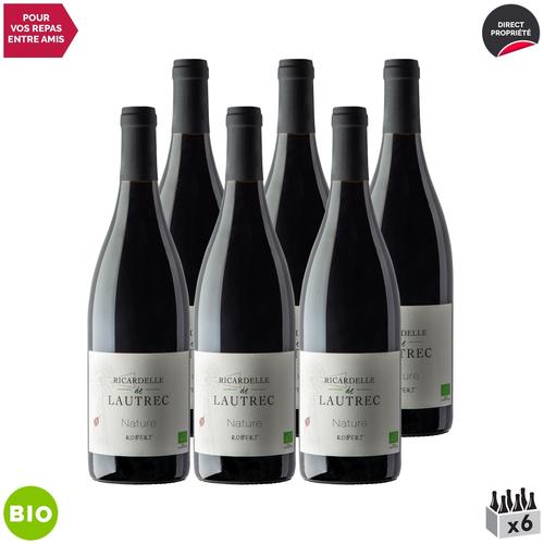 Domaine Ricardelle De Lautrec Pays D'oc Robert Nature Rouge 2018 X6