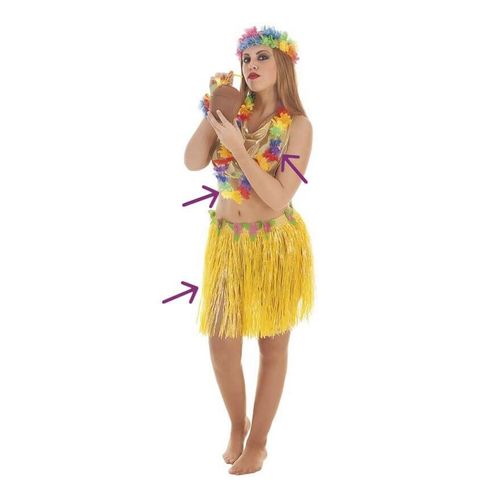Kit De Hawaïenne: Jupe, Collier Et Top