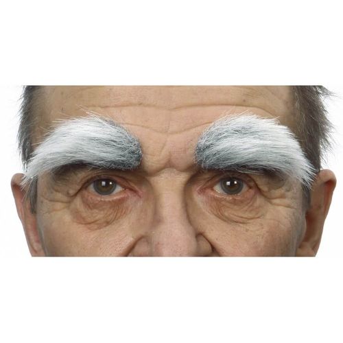 Sourcils Fournis Et Grisonnants