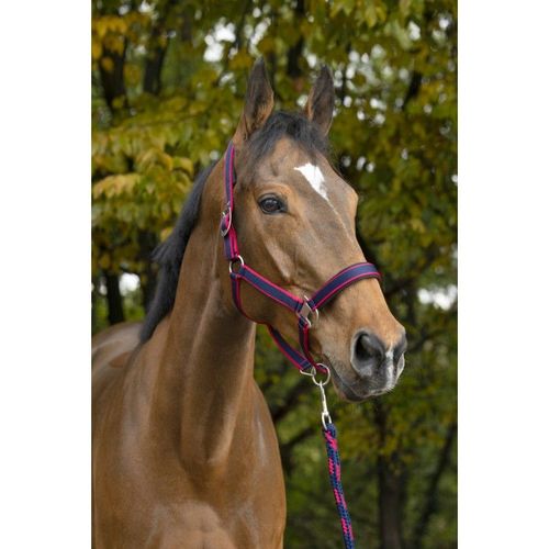Licol + Longe Equithème "Satiné" Taille Cheval Marine/Bleu Ciel