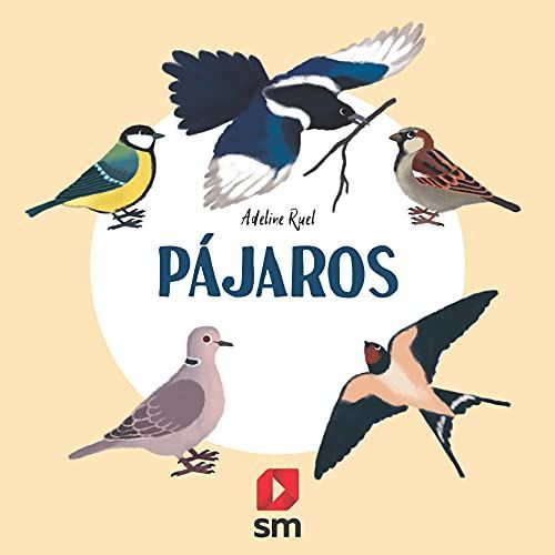 Pájaros