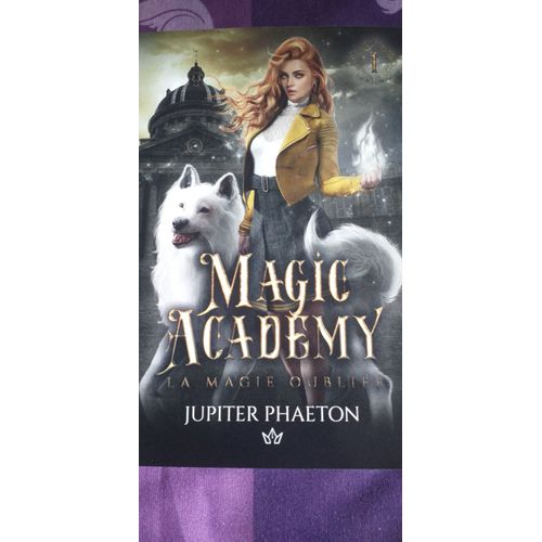 Magic Academy - Tome 1 - La Magie Oubliée