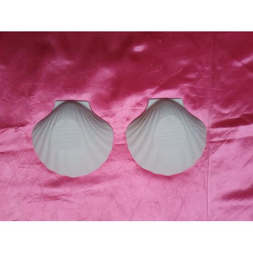 Lot De 2 Coquilles St Jacques En Grès Blanc