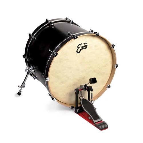 Evans Bd16gb4ct - Peau De Grosse Caisse Eq4 Calftone, 16 Pouces