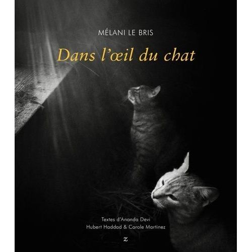 Dans L'oeil Du Chat