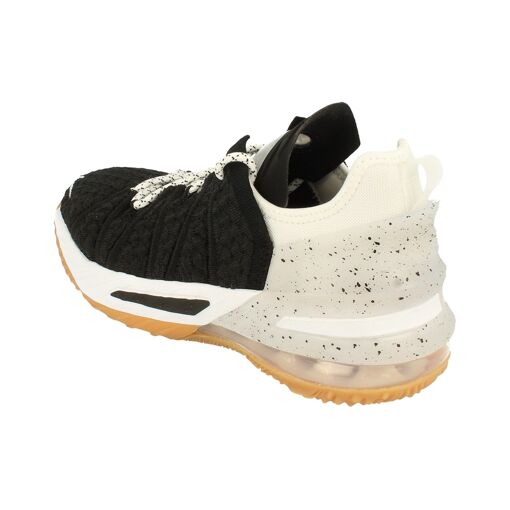 nike lebron trainers