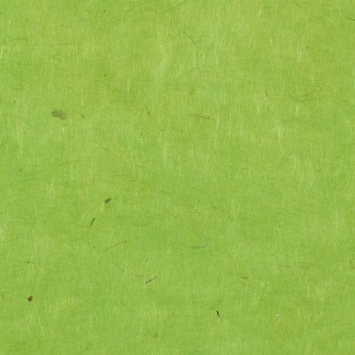 Papertree 50*70 Lokta Paper Anise - Lot De 10 Feuilles