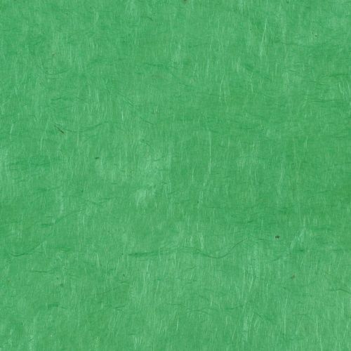Papertree 50*70 Lokta Paper Chlorophyll - Lot De 10 Feuilles