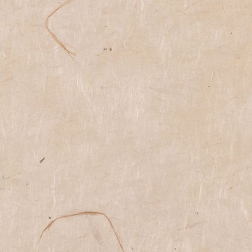 Papertree 50*70 Lokta Paper Natural - Lot De 10 Feuilles