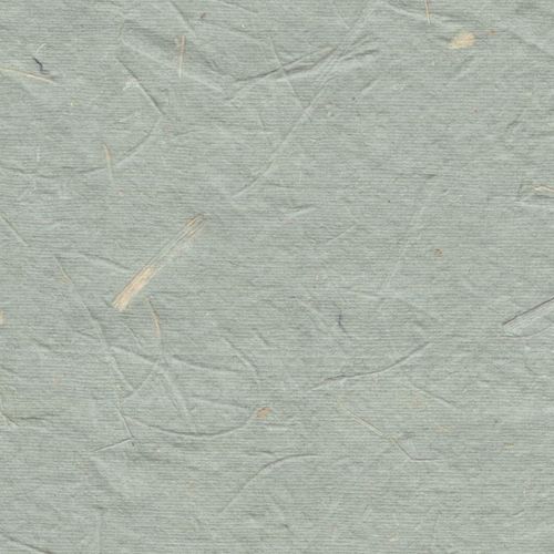 Papertree Ds 50 X 70 - 200g Bagasse Gris Fm - Lot De 10 Feuilles