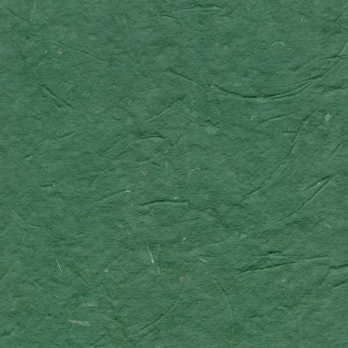 Papertree Ds 50 X 70 - 200g Bagasse Vert - Lot De 10 Feuilles