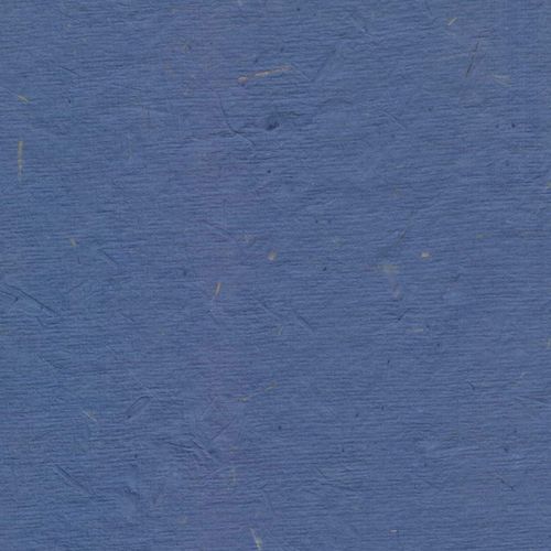 Papertree Ds 50 X 70 - 100g Naturel Rns Cobalt - Lot De 10 Feuilles