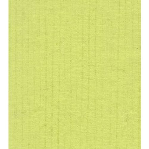 Papertree 50*70 100g Unilin Vert Anis - Lot De 10 Feuilles
