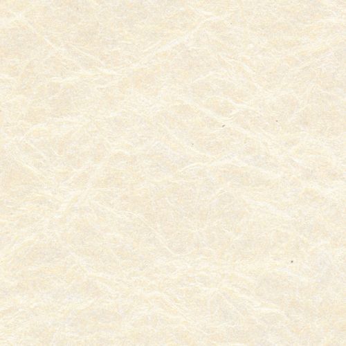 Papertree 56*76 125g Antik Ivoire - Lot De 10 Feuilles