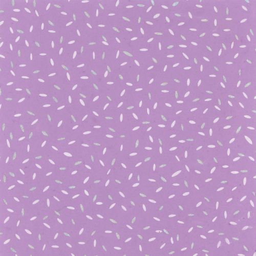 Papertree 50*70 100g Candy Violet - Lot De 10 Feuilles