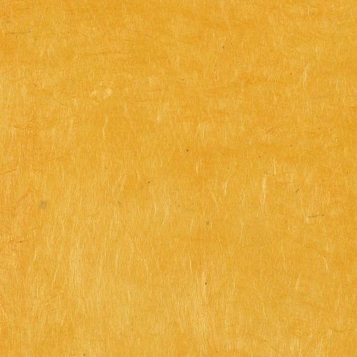 Papertree 50*70 Lokta Paper Sun - Lot De 10 Feuilles