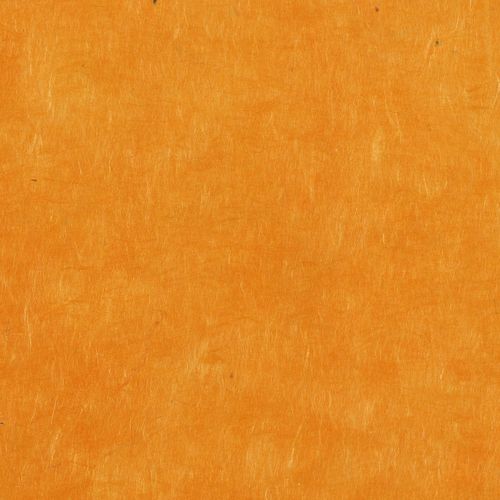Papertree 50*70 Lokta Paper Mango - Lot De 10 Feuilles