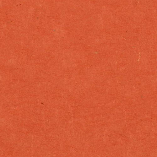 Papertree 50*70 Lokta Paper Paprika - Lot De 10 Feuilles