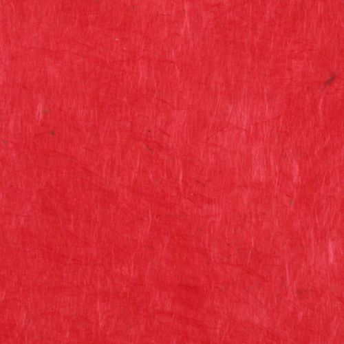 Papertree 50*70 Lokta Paper Tomato - Lot De 10 Feuilles