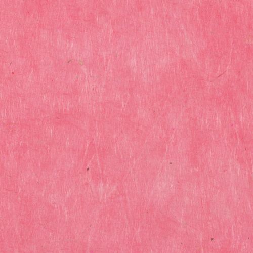 Papertree 50*70 Lokta Paper Camelia - Lot De 10 Feuilles