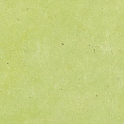 Papertree 50*70 Lokta Paper Wasabi - Lot De 10 Feuilles
