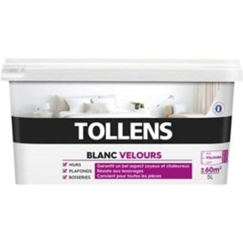 Peinture bicouche murs plafonds boiseries Tollens blanc velours 5L