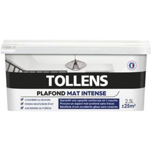 Peinture monocouche plafond Tollens blanc mat intense 2 5L