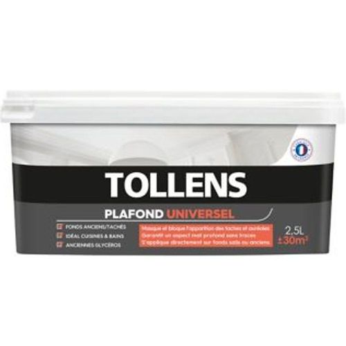 Peinture universelle monocouche plafonds Tollens blanc mat 2 5L