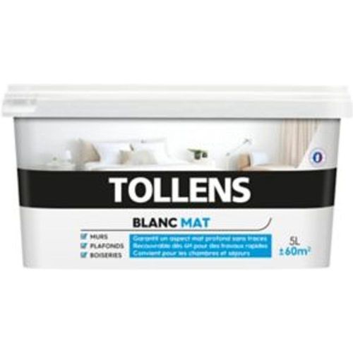 Peinture bicouche murs plafonds et boiseries Tollens blanc mat 5L