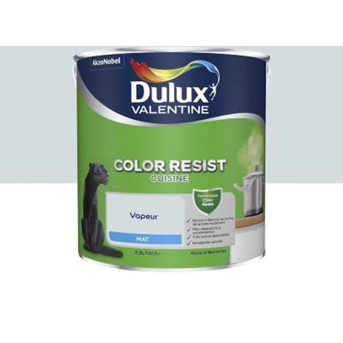 Peinture cuisine Dulux Valentine vapeur mat 2 5L