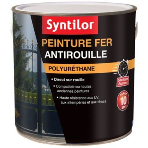 Peinture fer Syntilor Ultra Protect gris anthracite satin 1 5L