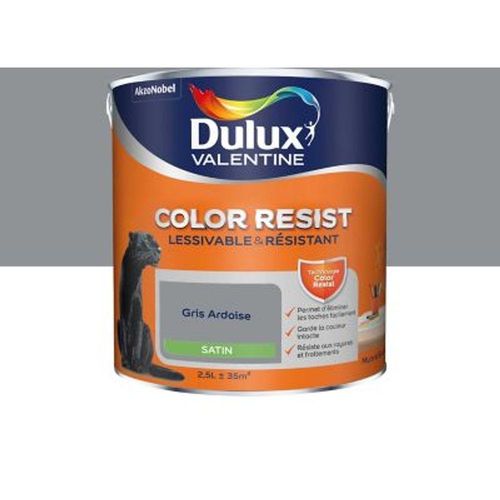 Peinture murs et boiseries Dulux Valentine Color Resist gris ardoise satin 2 5L
