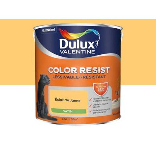 Peinture murs et boiseries Dulux Valentine Color Resist ?clat de jaune satin 2 5L