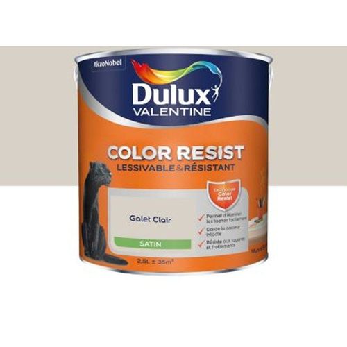 Peinture murs et boiseries Dulux Valentine Color Resist galet clair satin 2 5L