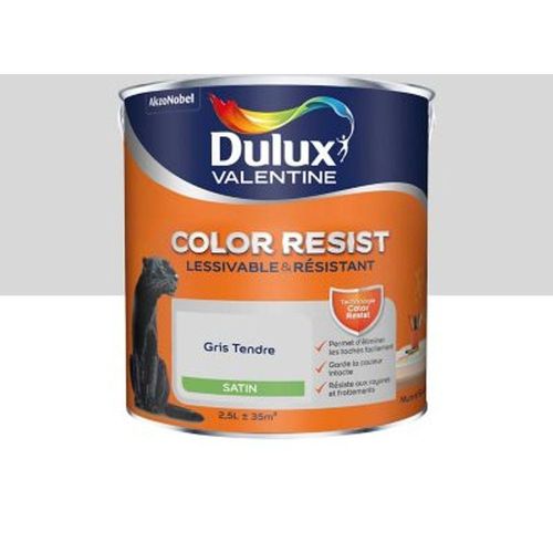 Peinture murs et boiseries Dulux Valentine Color Resist gris tendre satin 2 5L