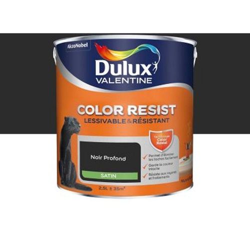 Peinture murs et boiseries Dulux Valentine Color Resist noir profond satin 2 5L