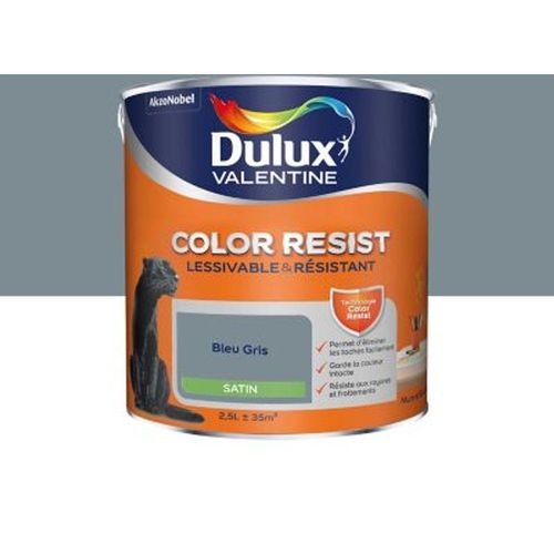 Peinture murs et boiseries Dulux Valentine Color Resist bleu gris satin 2 5L