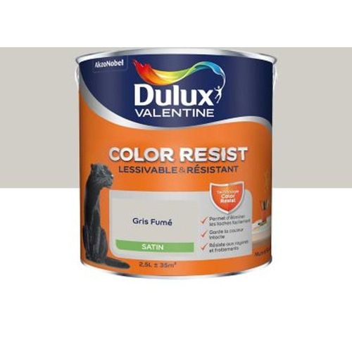 Peinture murs et boiseries Dulux Valentine Color Resist gris fum? satin 2 5L
