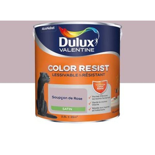 Peinture murs et boiseries Dulux Valentine Color Resist soup?on de rose satin 2 5L