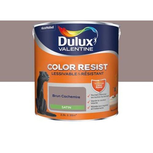 Peinture murs et boiseries Dulux Valentine Color Resist brun cachemire satin 2 5L