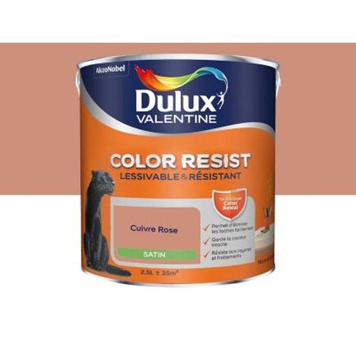 Peinture murs et boiseries Dulux Valentine Color Resist cuivre rose satin 2 5L